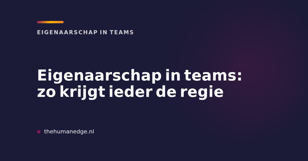 Kaart van The Human Edge met kop over eigenaarschap in teams en regie voor iedereen